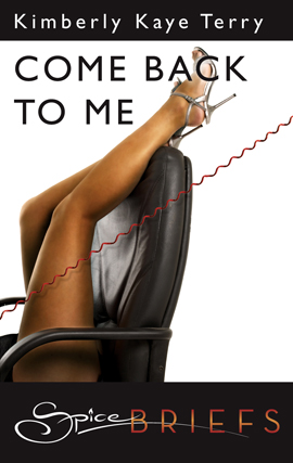 Title details for Come Back to Me: An Erotic Short Story by Kimberly Kaye Terry - Wait list